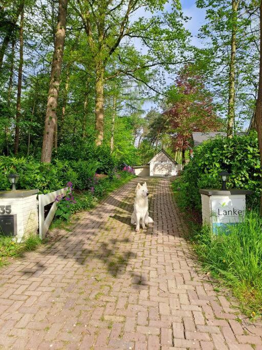 Lanke Garden Studio Rijsbergen ภายนอก รูปภาพ